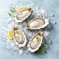 Frozen Oysters