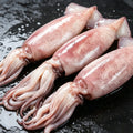 Frozen Whole Squid